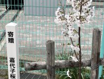 トピックスの画像