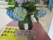 トピックスの画像