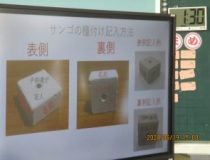 添付画像