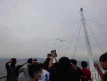 添付画像