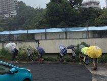 添付画像
