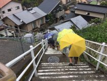 添付画像