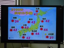 添付画像