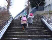 添付画像