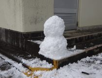 添付画像