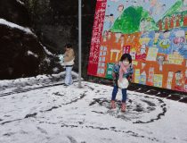 添付画像