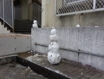 添付画像