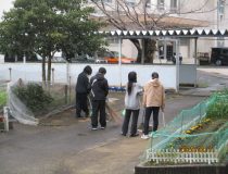 添付画像