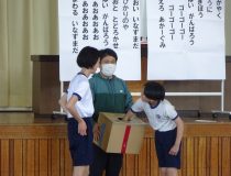 添付画像