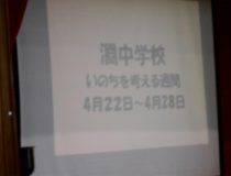添付画像