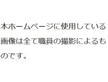 トピックスの画像