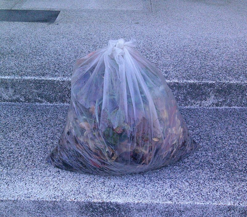 ボランティア活動~清掃編の画像