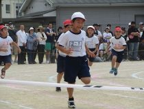 添付画像