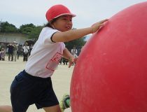 添付画像