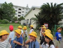 添付画像