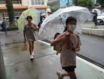 添付画像