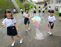 添付画像