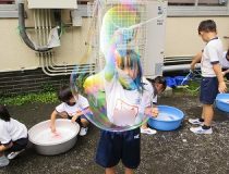 添付画像