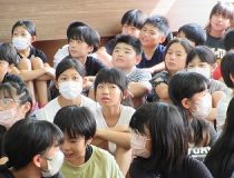添付画像