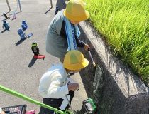 添付画像
