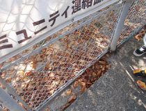 添付画像