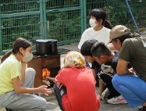 添付画像