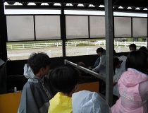 添付画像