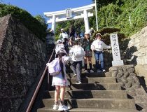 添付画像