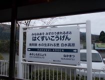 添付画像