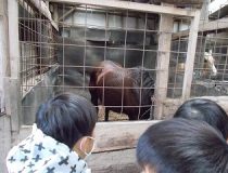 添付画像
