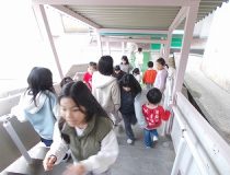 添付画像