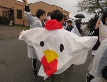 添付画像