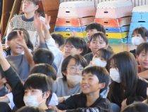 添付画像
