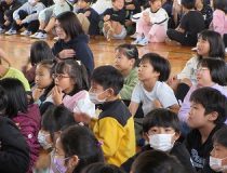 添付画像