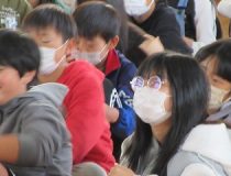 添付画像