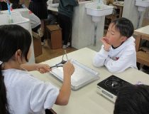 添付画像