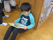 添付画像