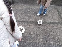 添付画像