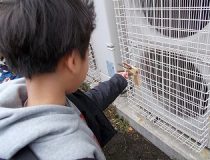 添付画像