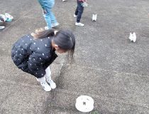 添付画像