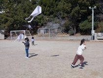 添付画像