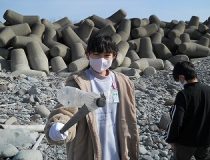 添付画像