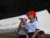 添付画像