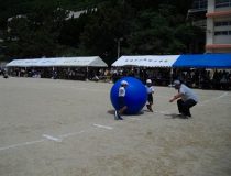 添付画像