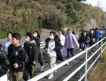 添付画像