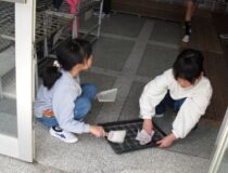 添付画像