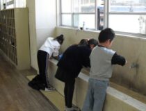添付画像