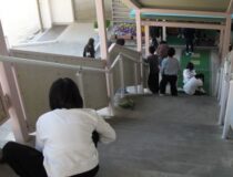 添付画像