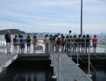 添付画像