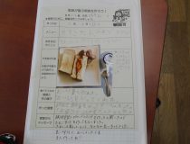 添付画像